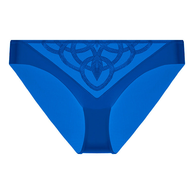 Sheer Embroidered Mesh Panty - Rosey Isle
