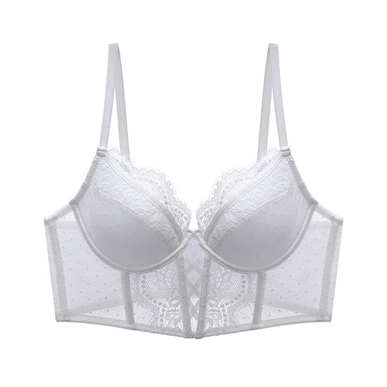 Sheer Lace Longline Bra - Rosey Isle